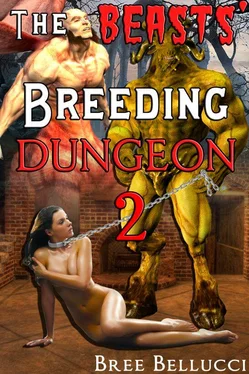 Bree Bellucci The Beasts' breeding dungeon 2 обложка книги