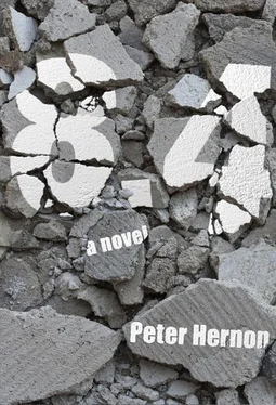 Peter Hernon 8.4 обложка книги