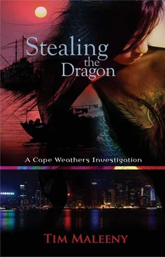 Tim Maleeny Stealing the Dragon обложка книги