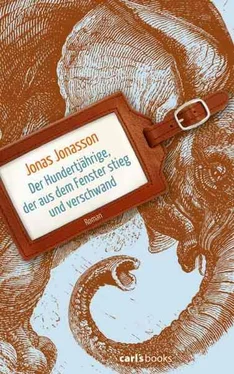 Jonas Jonasson Der Hundertjaehrige der aus dem Fenster stieg und verschwand обложка книги