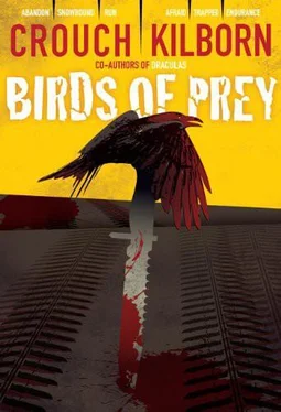 Blake Crouch Birds of Prey обложка книги