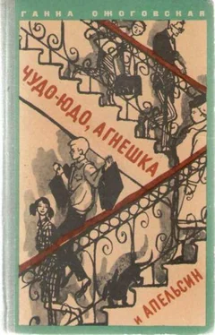 Ганна Ожоговская Чудо-юдо, Агнешка и апельсин обложка книги