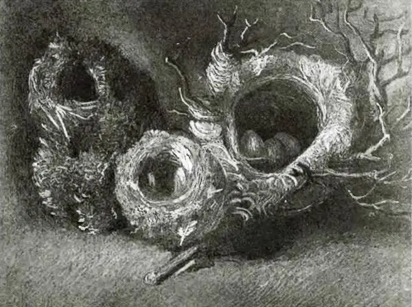 Птичьи гнёзда 1885 г Мулен де ла Галет Пара башмаков 1887г - фото 22