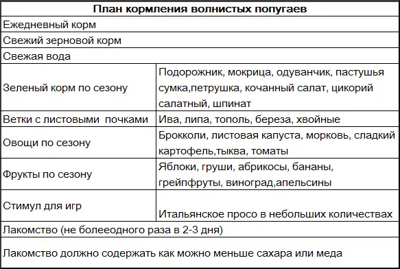 Зеленый корм Несколько раз промойте теплой водой нельзя давать птицам увядший - фото 26