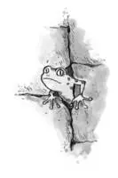 Vorsicht Verschwörung Max schwamm schneller als er es einem kleinen Frosch - фото 24