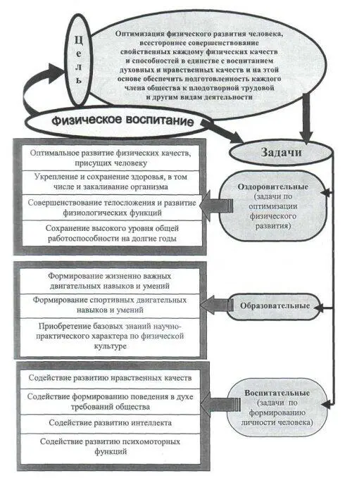 Рис 15 Цель и задачи физического воспитания Рис 16 Профилирующие - фото 53