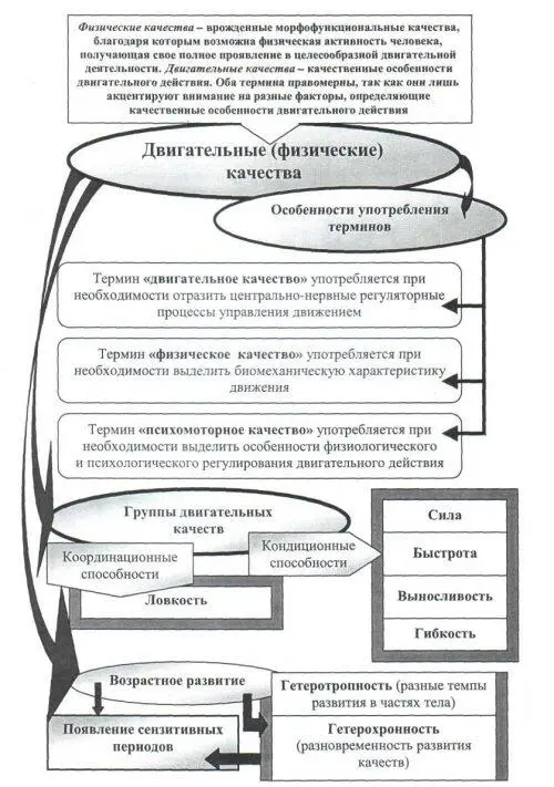 Рис 21 Общая характеристика физических двигательных качеств Рис 22 - фото 60