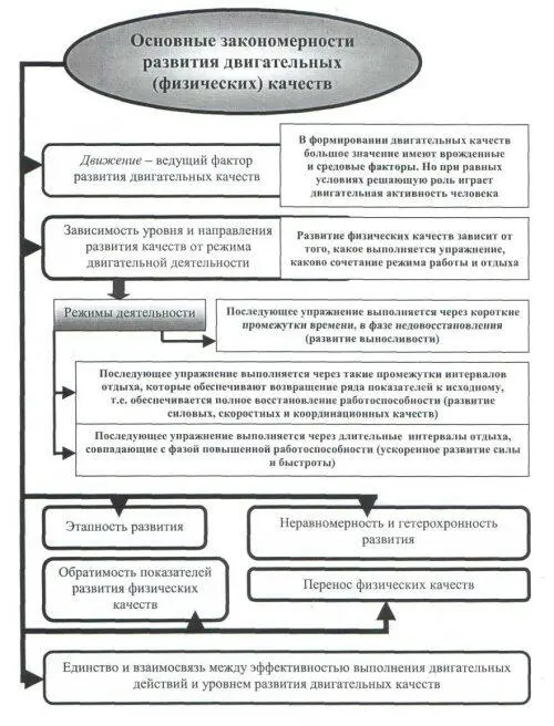 Рис 22 Основные закономерности развития двигательных физических качеств - фото 61