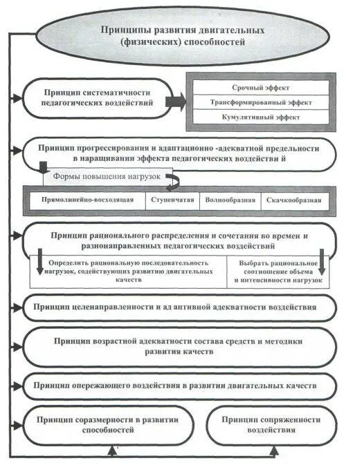 Рис 23 Принципы развития двигательных физических качеств Рис 24 - фото 62