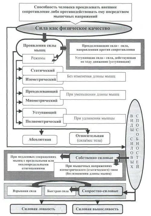 Рис 25 Общая характеристика двигательного физического качества сила Сила - фото 64