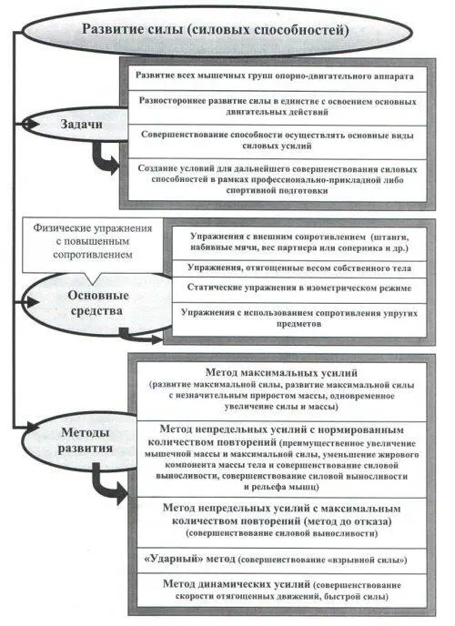 Рис 26 Основы методики развития силы силовых способностей Атлетическая - фото 65