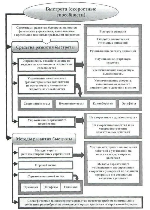 Рис 28 Основы методики развития быстроты Развитие выносливости - фото 69