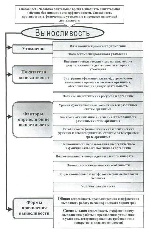 Рис 29 Общая характеристика двигательного физического качества - фото 70