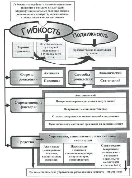 Рис 33 Гибкость как физическое качество Различают две формы ее проявления - фото 74
