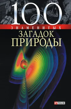 Владимир Сядро 100 знаменитых загадок природы обложка книги