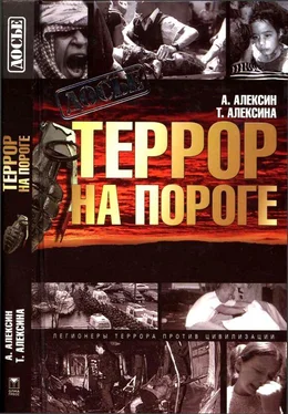 Татьяна Алексина Террор на пороге обложка книги