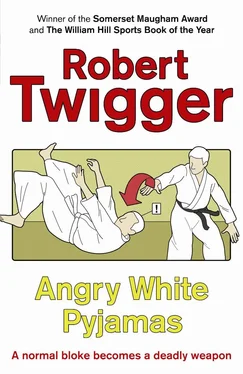 Роберт Твиггер Злые белые пижамы обложка книги