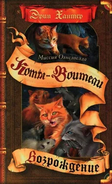 Эрин Хантер Миссия Огнезвезда. Книга 2. Возрождение обложка книги