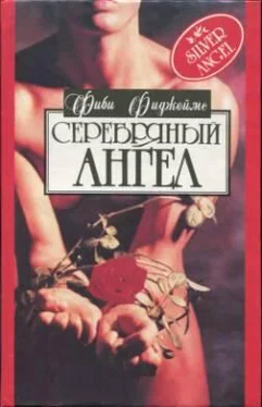 Фиби Фиджеймс Серебряный ангел обложка книги