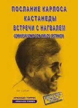 Армандо Торрес Послание Карлоса Кастанеды. Встречи с Нагвалем обложка книги