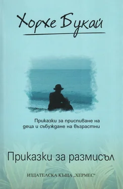 Хорхе Букай Приказки за размисъл (Приказки за приспиване на деца и събуждане на възрастни) обложка книги