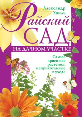 Александр Хаиль Райский сад на дачном участке. Самые красивые растения, неприхотливые в уходе обложка книги