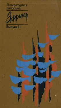 Народные сказки Сэнзэро — братишка-коротышка (Эфиопия) обложка книги