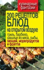 Владимир Водяницкий - 200 рецептов блюд на открытом воздух - гриль, барбекю, шашлык из мяса, рыбы, овощей, морепродуктов и фруктов