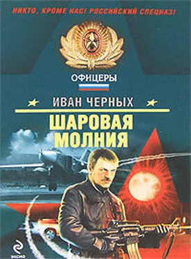 Иван Черных Шаровая молния обложка книги