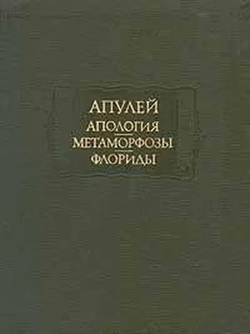 Луций Апулей Апология обложка книги