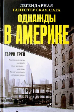 Гарри Грей Однажды в Америке обложка книги