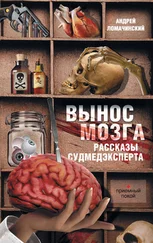 Андрей Ломачинский - Вынос мозга. Рассказы судмедэксперта (сборник)