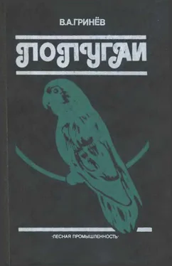 Вячеслав Гринев Попугаи обложка книги