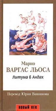 Марио Льоса Литума в Андах обложка книги