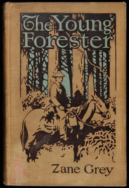 Zane Grey The Young Forester обложка книги