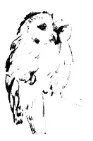 Весна обрушилась на тайгу Реки с грохотом ломая обессилевший лед распрямляли - фото 23