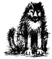 Хадко шел двадцатый год На двадцать первом году Хадко погиб То ли от зависть - фото 24