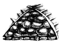 В третьем чуме встретили Мэбэта духи хозяев тех земель в которых любимец божий - фото 35