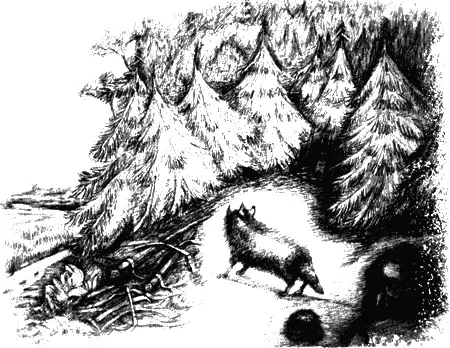 Последний бой Загудело заворочалось нутро земли будто проснулся огромный - фото 41