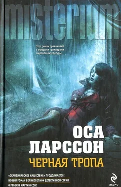 Оса Ларссон Черная тропа обложка книги