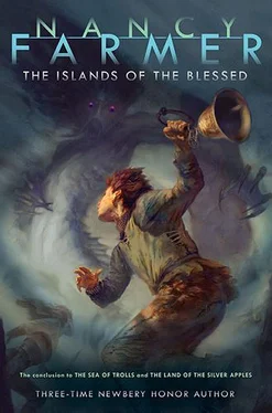 Nancy Farmer The Islands of the Blessed обложка книги