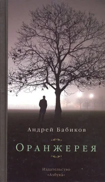 Андрей Бабиков Оранжерея обложка книги