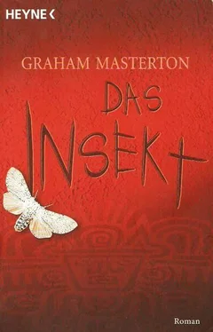 Graham Masterton Das Insekt обложка книги