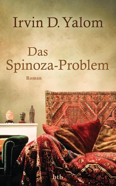 Irvin D. Yalom Das Spinoza-Problem обложка книги