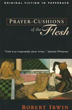Robert Irwin Prayer-Cushions of the Flesh обложка книги