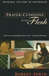 Robert Irwin - Prayer-Cushions of the Flesh