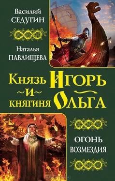 Василий Седугин Князь Игорь обложка книги