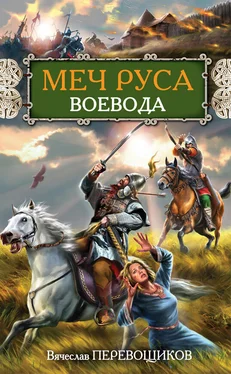 Вячеслав Перевощиков Воевода обложка книги