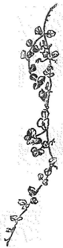 Когда наступил Снежный месяц декабрь он отправился вместе с Серым - фото 9