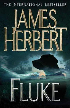 James Herbert Fluke обложка книги